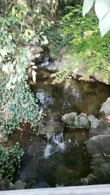 虫虫助手下载